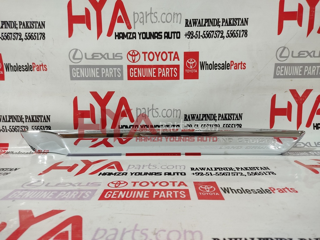 MOULDING SUB-ASSY, REAR DOOR, OUTSIDE LH