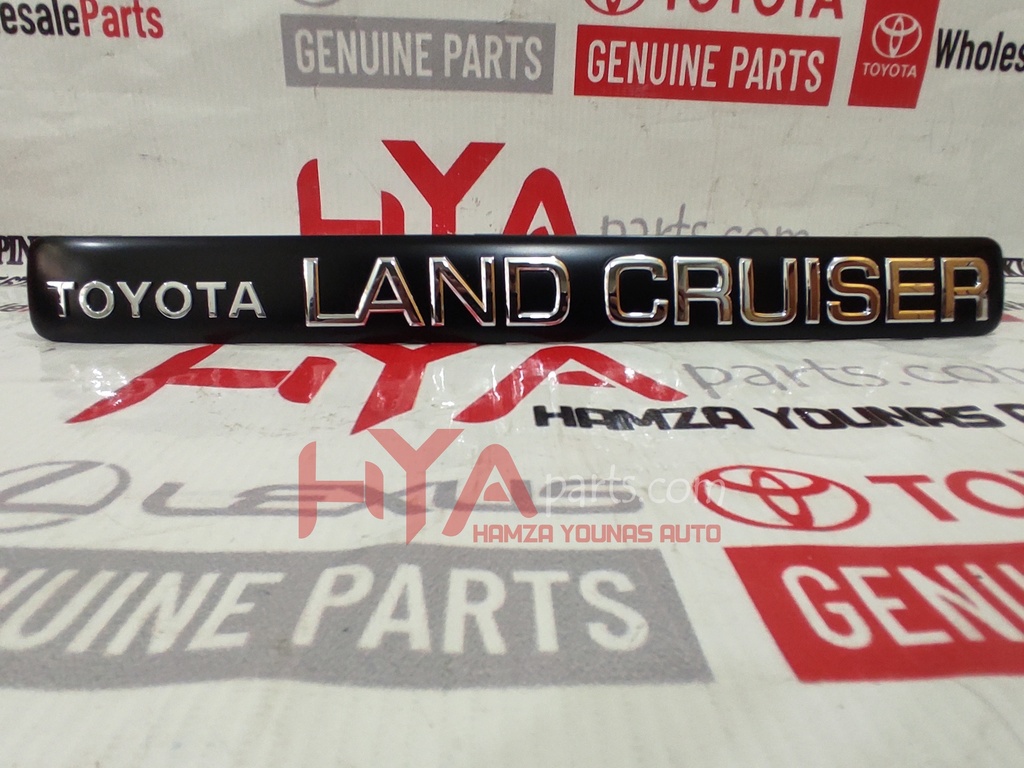 CAP, LICENSE PLATE LAMP