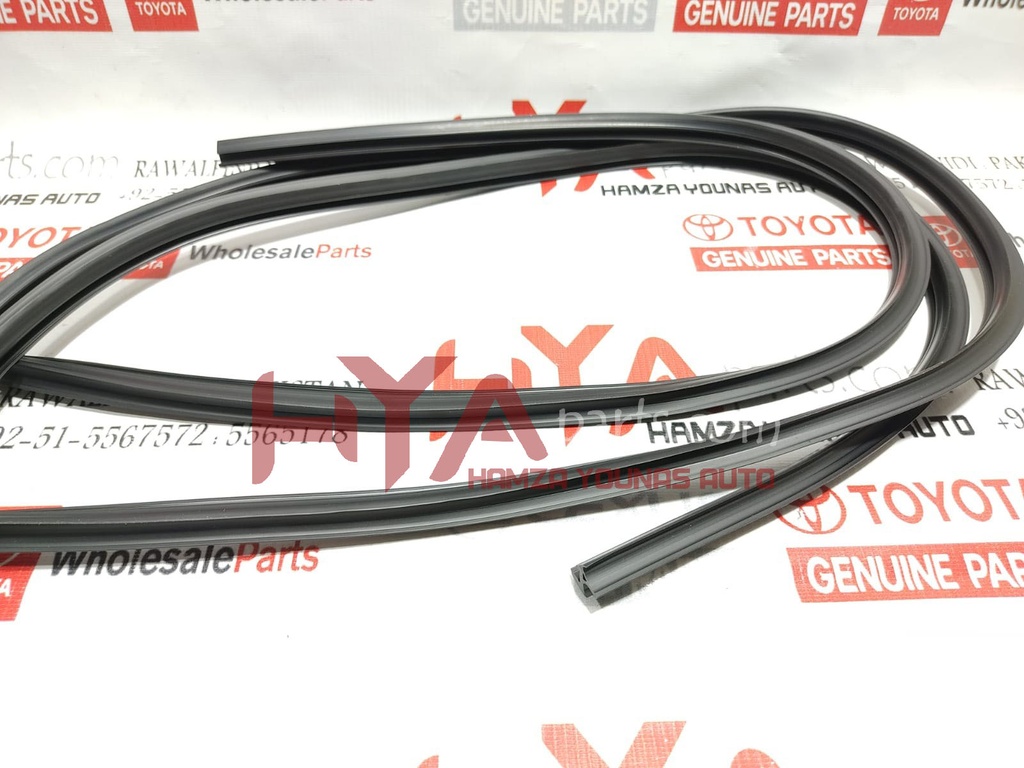 MOULDING, WINDSHIELD