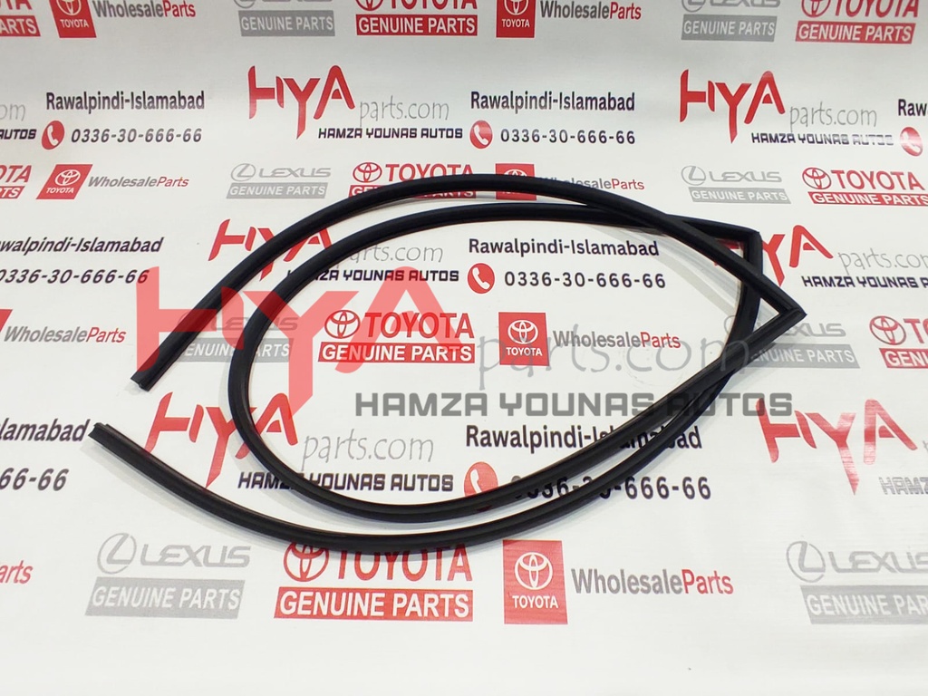 MOULDING, WINDSHIELD