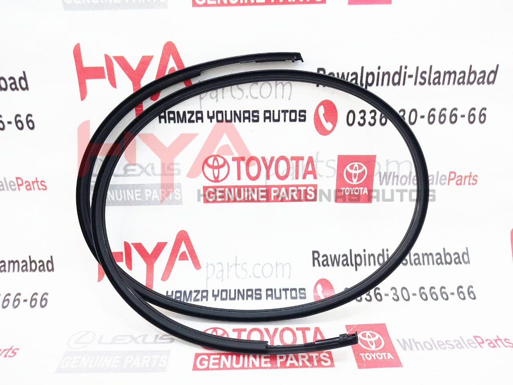 MOULDING, ROOF DRIP SIDE FINISH, RH