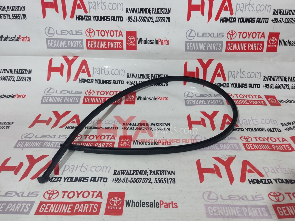 MOULDING, ROOF DRIP SIDE FINISH, CENTER LH