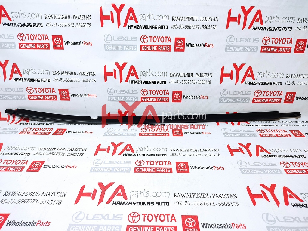 MOULDING ASSY, REAR DOOR BELT, LH