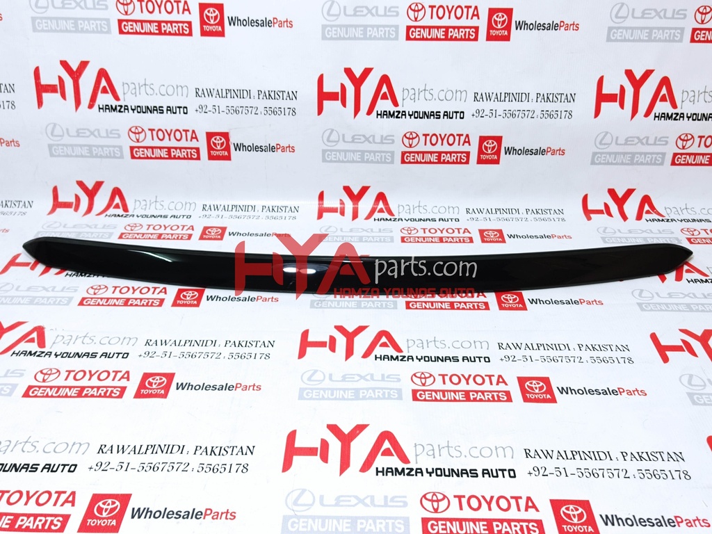 MOULDING ASSY, HOOD, FRONT