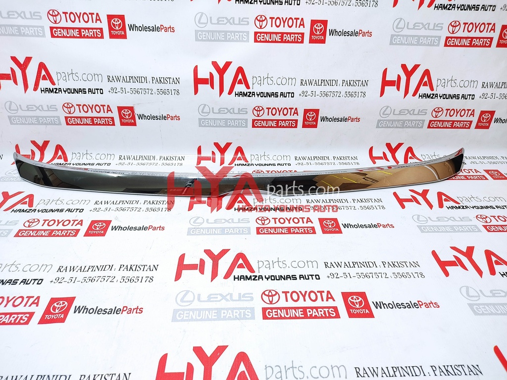 MOULDING, HOOD, FRONT