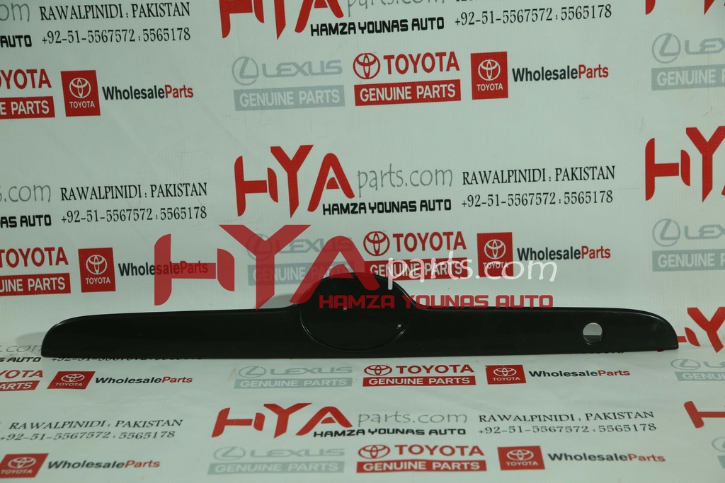 GARNISH SUB-ASSY, BACK DOOR, OUTSIDE