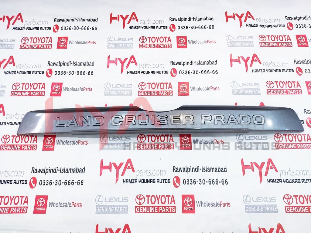 GARNISH, BACK DOOR, OUTSIDE NO.2