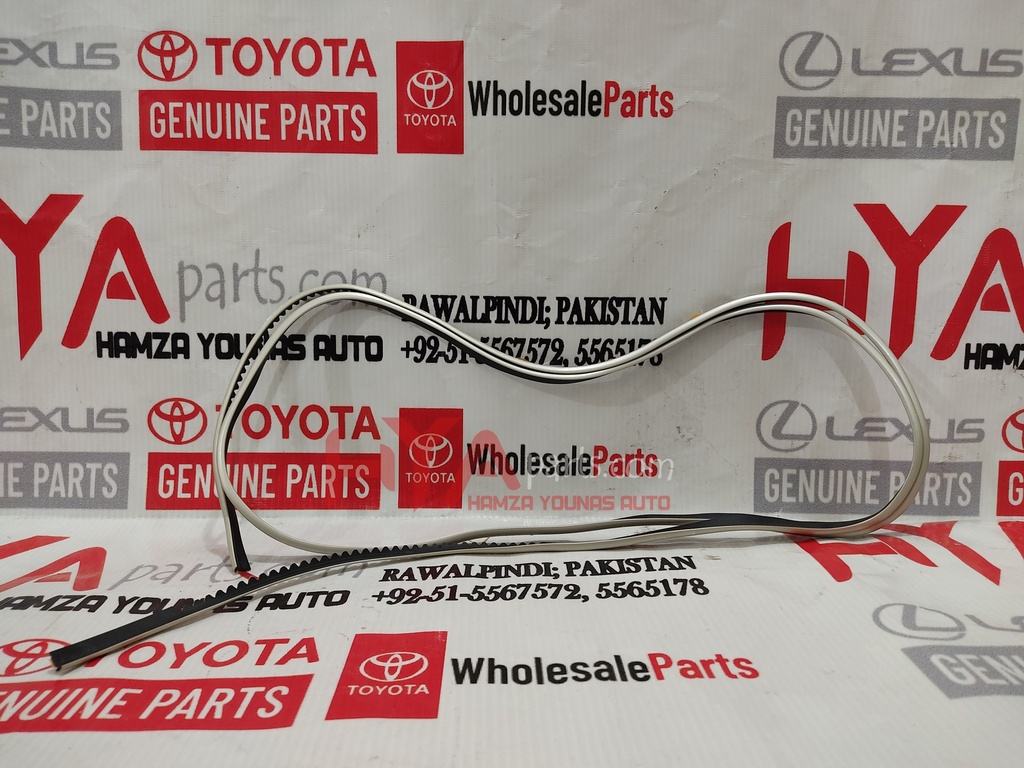 PROTECTOR, SIDE MUDGUARD, RH