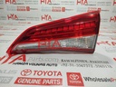 LENS AND BODY, REAR LAMP, RH (BACK LIGHT)