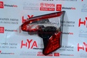 LENS AND BODY, REAR LAMP, RH (BACK LIGHT)