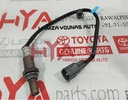 SENSOR, OXYGEN
