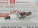 PLUG, SPARK