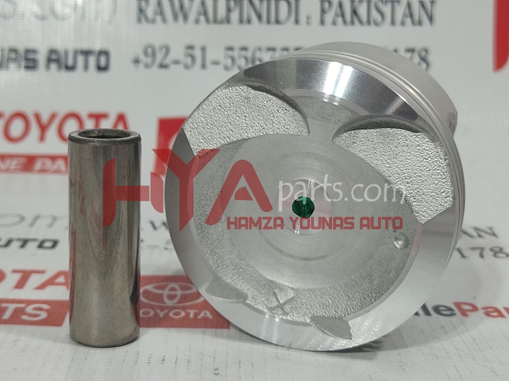 PISTON SUB-ASSY, W/PIN (SIZE : STD)
