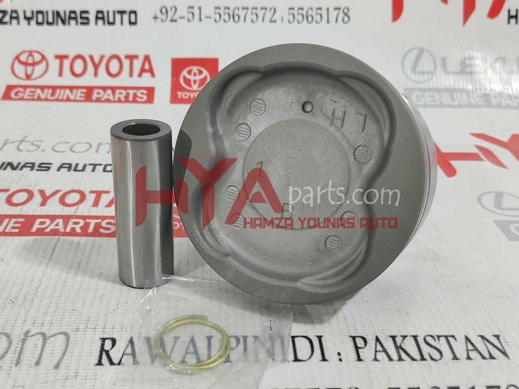 PISTON SUB-ASSY, W/PIN, LH