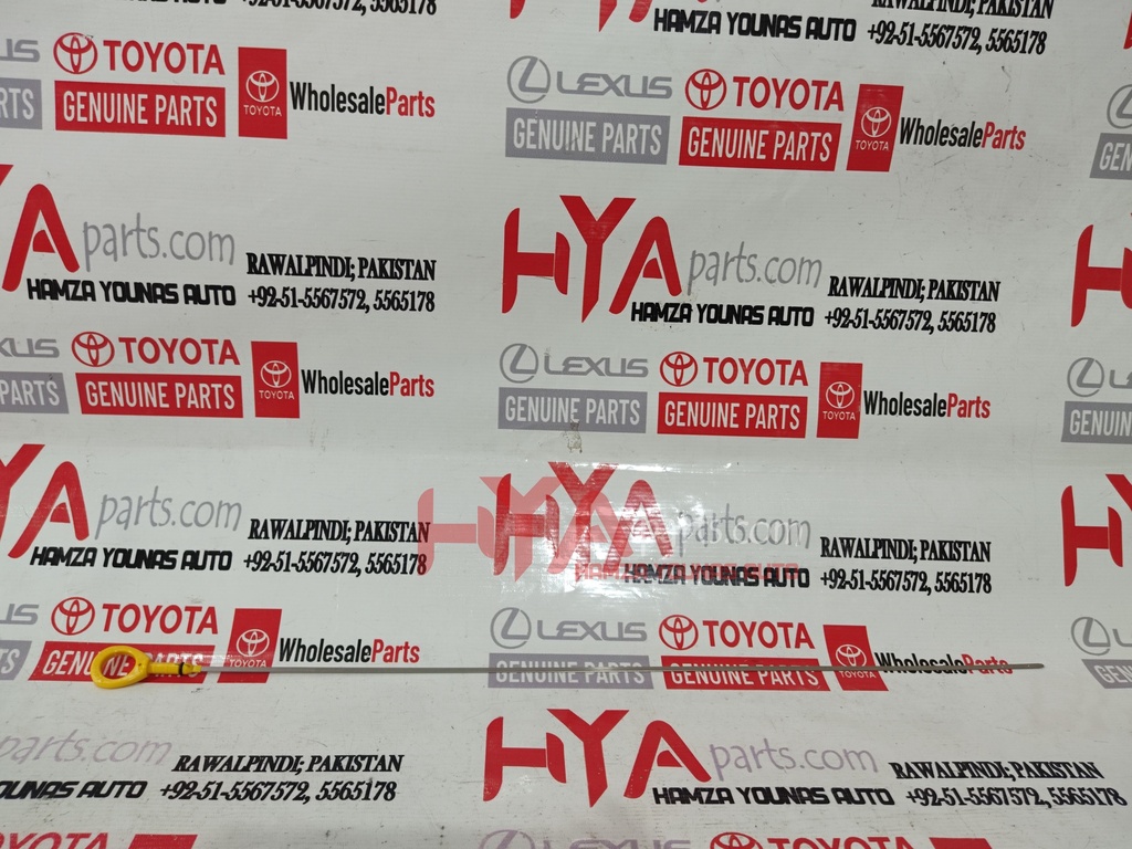 GAGE SUB-ASSY, OIL LEVEL