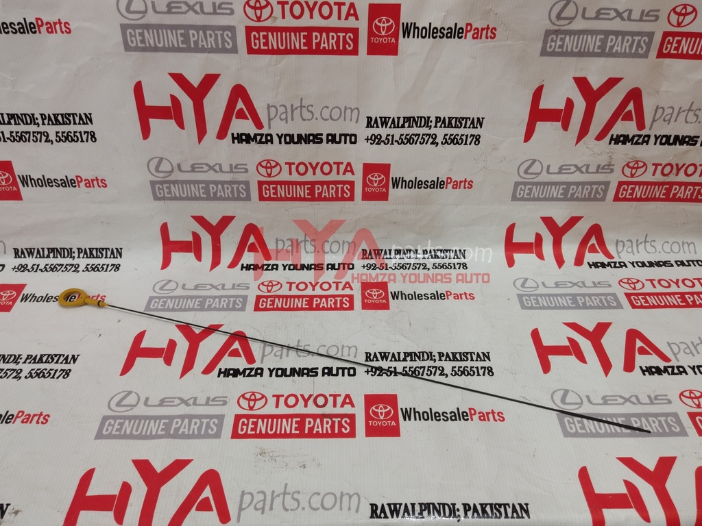 GAGE SUB-ASSY, OIL LEVEL