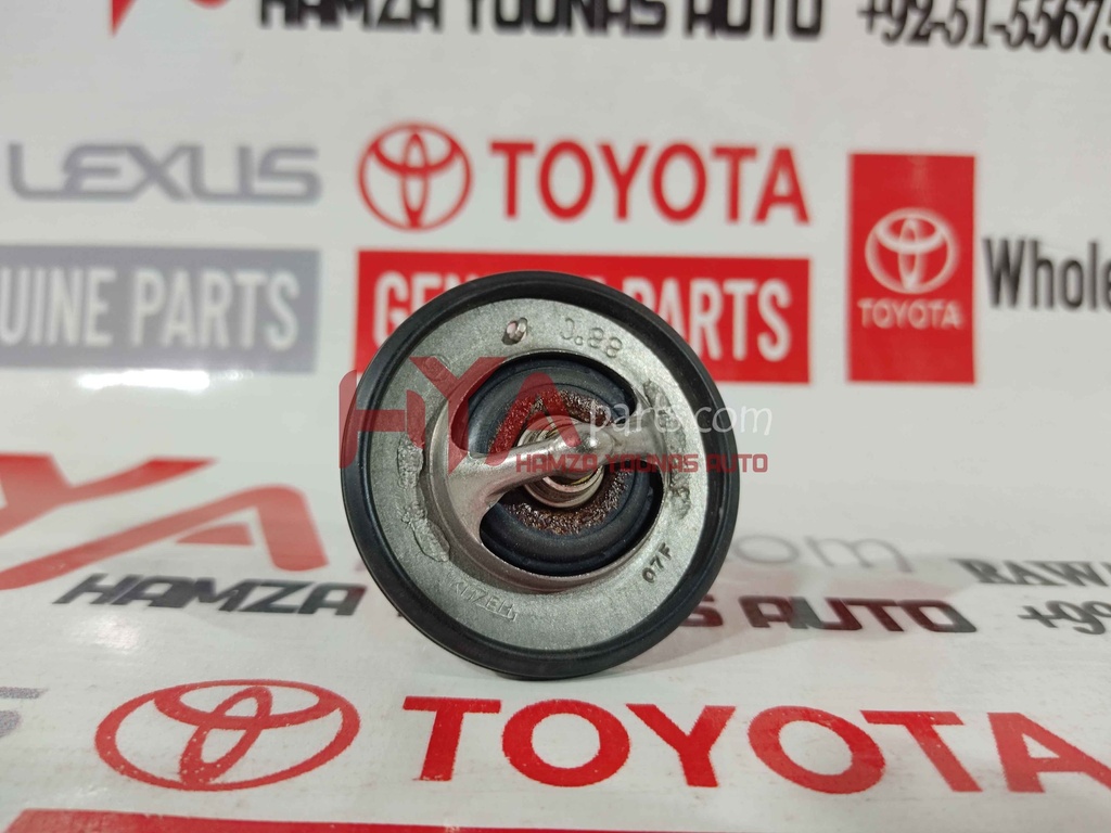 THERMOSTAT
