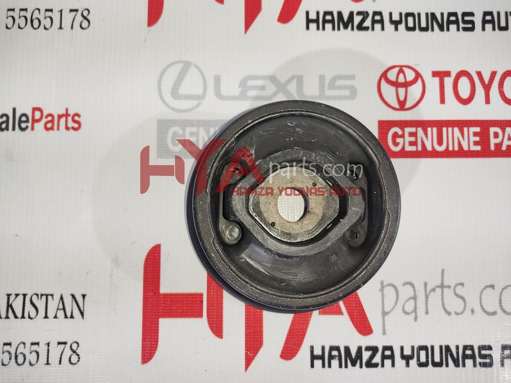 CUSHION, REAR DIFFERENTIAL MOUNT, NO.1