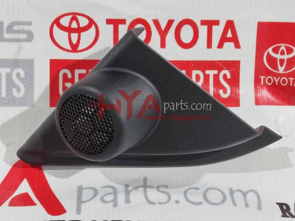 GARNISH, FRONT DOOR LOWER FRAME BRACKET, RH