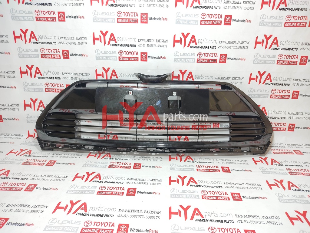 GRILLE SUB-ASSY, RADIATOR, LWR