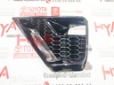 COVER, FOG LAMP, LH