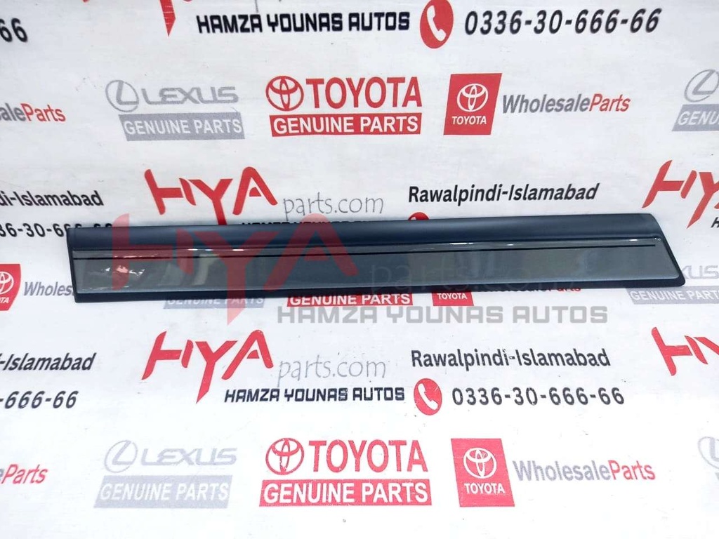 MOULDING RR DOOR