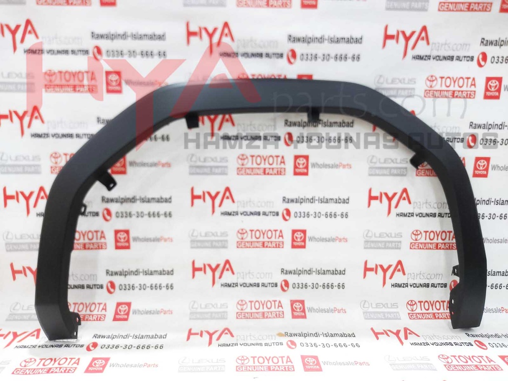 MOULDING SUB-ASSY, FRONT FENDER, LH