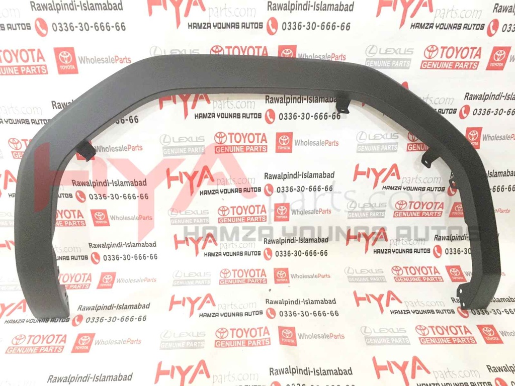 MOULDING SUB-ASSY, FRONT FENDER, RH