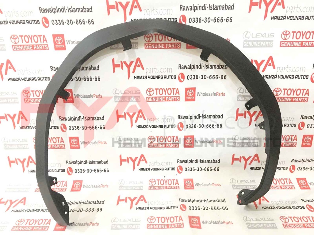 MOULDING SUB-ASSY, FRONT FENDER, RH