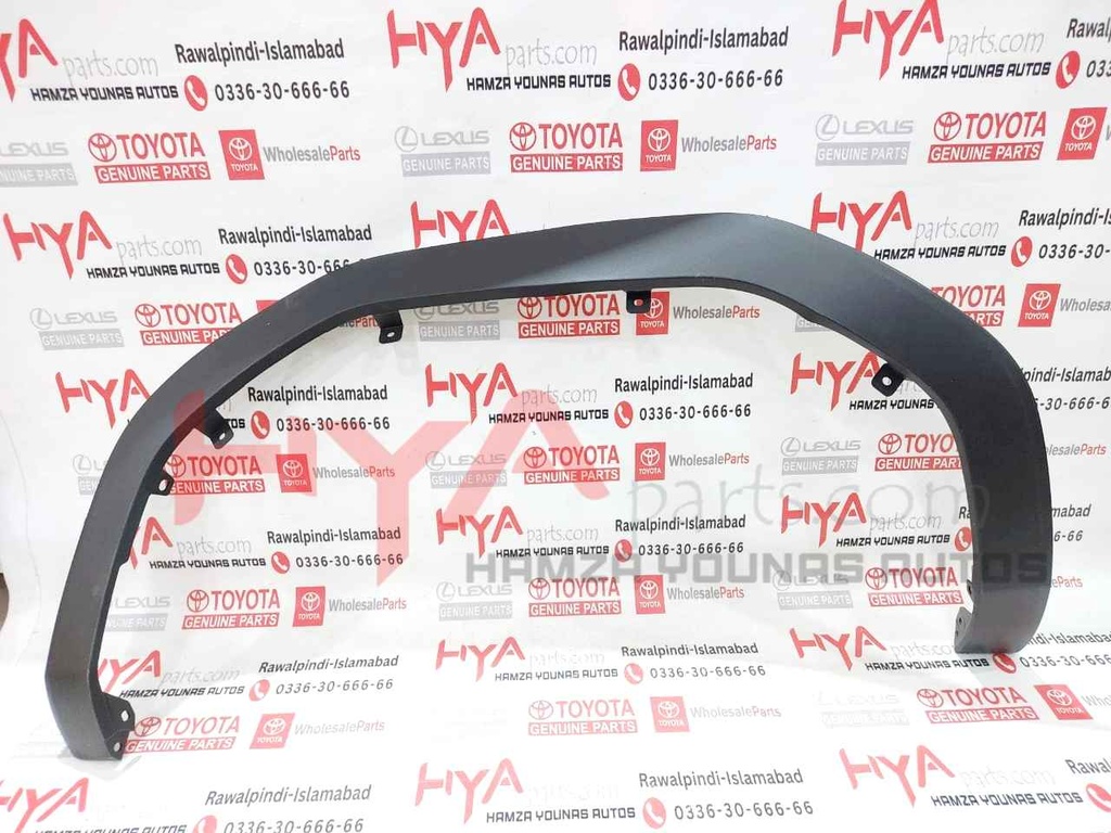 MOULDING SUB-ASSY, FRONT FENDER LH