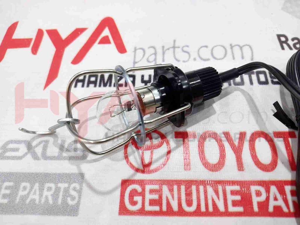 LAMP ASSY, INSPECTION