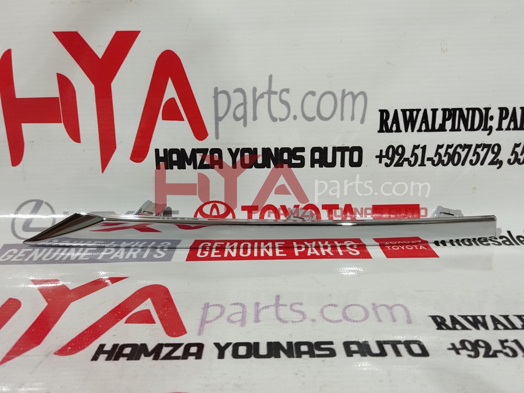 MOULDING, RADIATOR GRILLE, NO.1