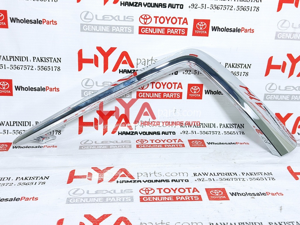 MOULDING, RADIATOR GRILLE, LOWER LH