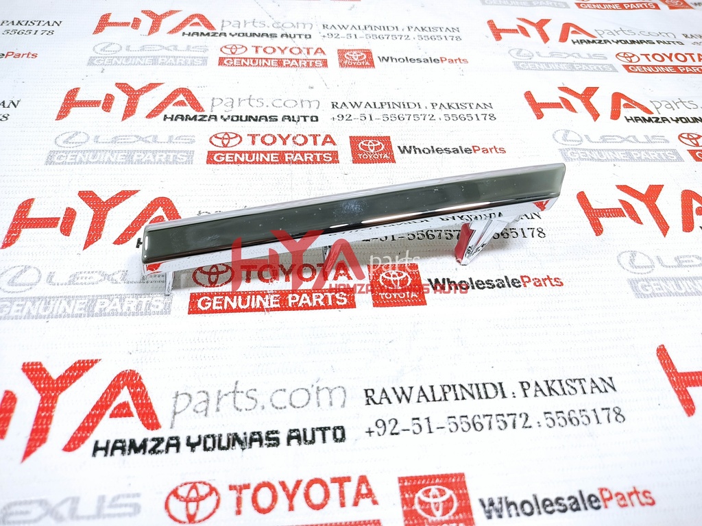 MOULDING, RADIATOR GRILLE, CENTER LH