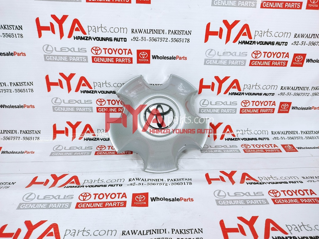 ORNAMENT SUB-ASSY, WHEEL HUB (WHEEL CAP)