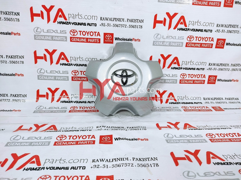 ORNAMENT SUB-ASSY, WHEEL HUB (WHEEL CAP)