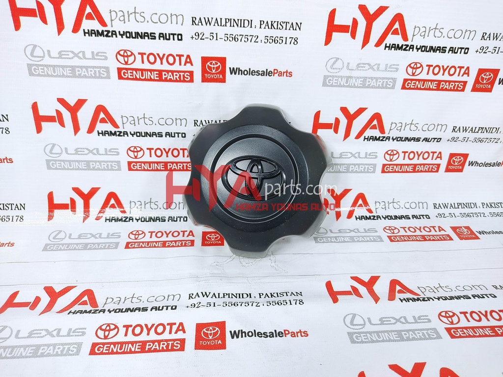 ORNAMENT SUB-ASSY, WHEEL HUB (WHEEL CAP)