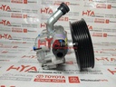 PUMP ASSY, VANE (POWER STEERING PUMP)