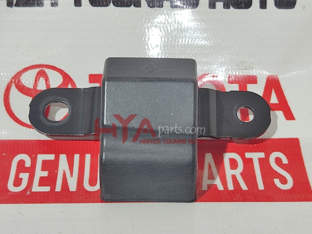 CUSHION, BACK DOOR LOWER STOPPER