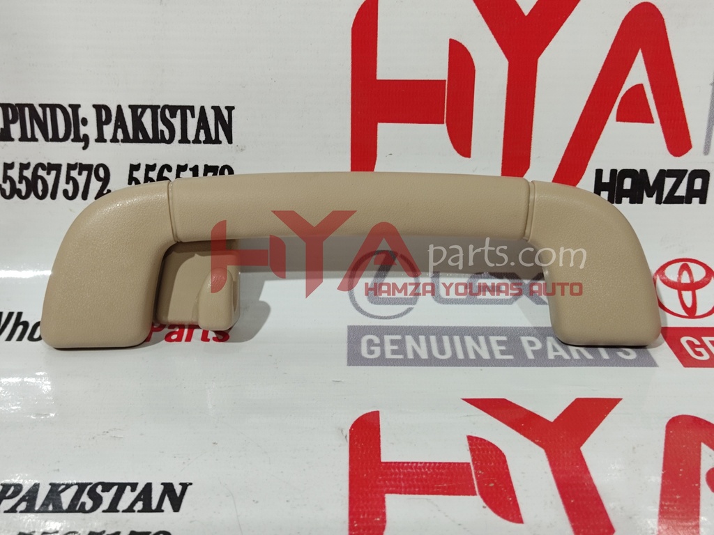 GRIP SUB-ASSY, ASSIST