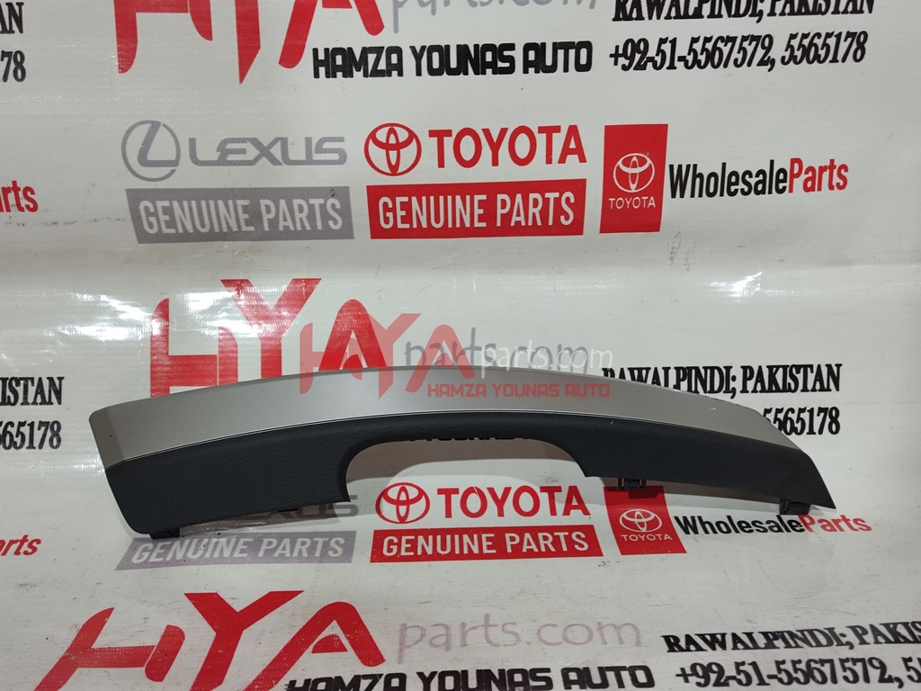 COVER, DOOR ASSIST GRIP, LH