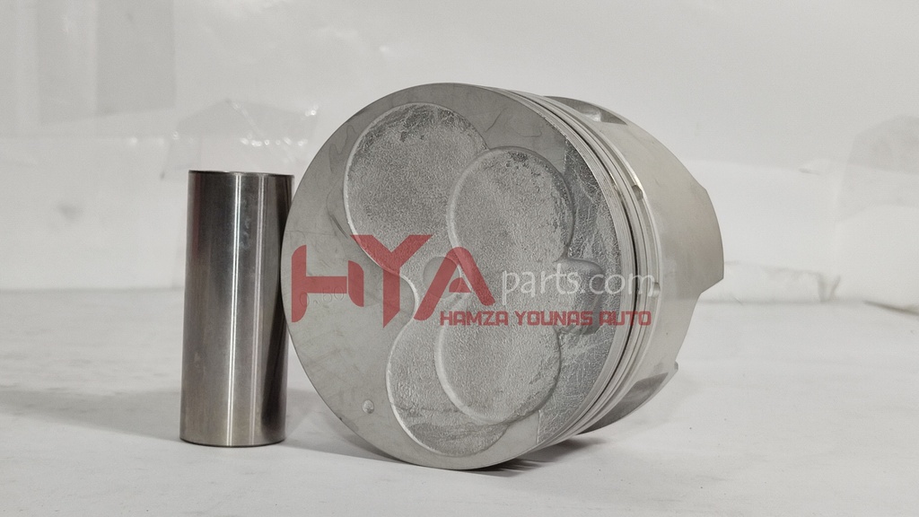PISTON SUB-ASSY, W/PIN (SIZE : STD)